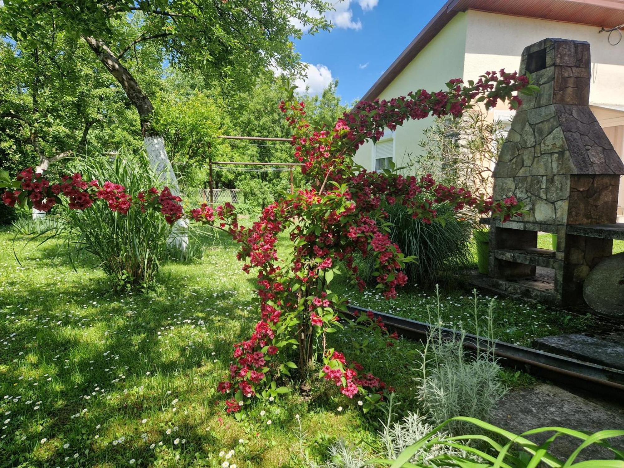 Studio Apartman Marica - Ogulin, Hrvatska Eksteriør billede