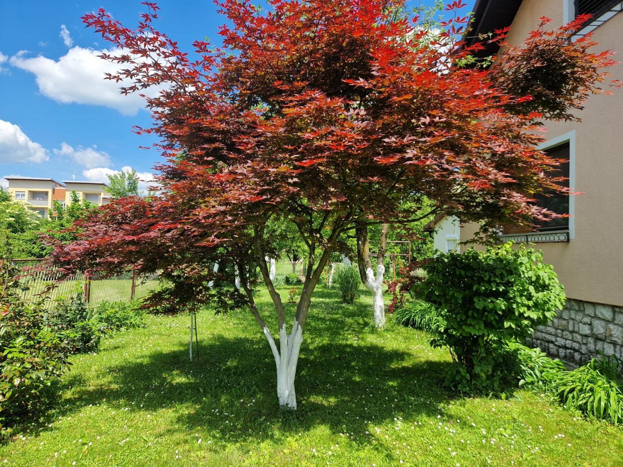 Studio Apartman Marica - Ogulin, Hrvatska Eksteriør billede